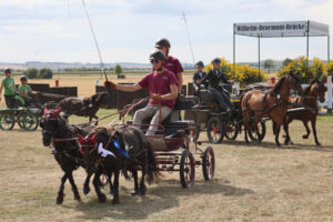 Große und kleine Pferde waren bei den Kreismeisterschaften im Fahren mit von der Partie. Bild: Michael Thalken/Eifeler Presse Agentur/epa