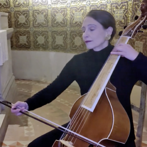 Sabine Weber spielt die Viola de Gamba. Bild: Karl Apsel
