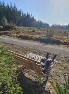 Rast mit Aussicht am höchsten Punkt des sagenhaften Wanderwegs. Bild: Michael Thalken/Eifeler Presse Agentur/epa